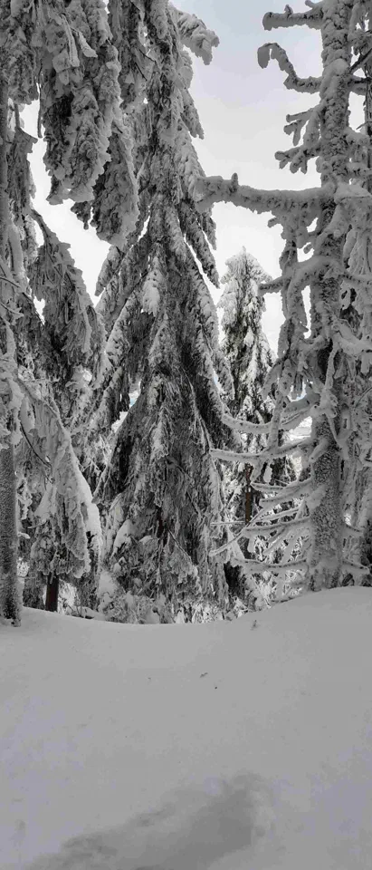 Turbacz 30.12.2019r – zdjęcie 92
