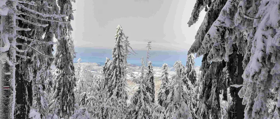 Turbacz 30.12.2019r – zdjęcie 96