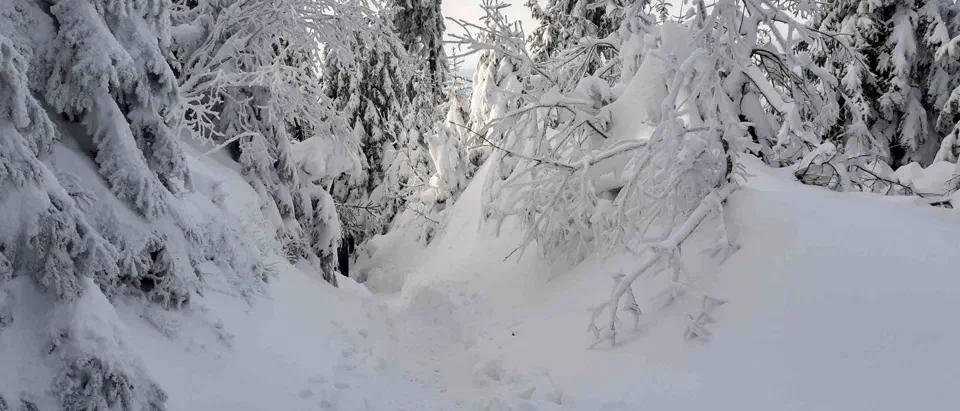 Turbacz 30.12.2019r – zdjęcie 98