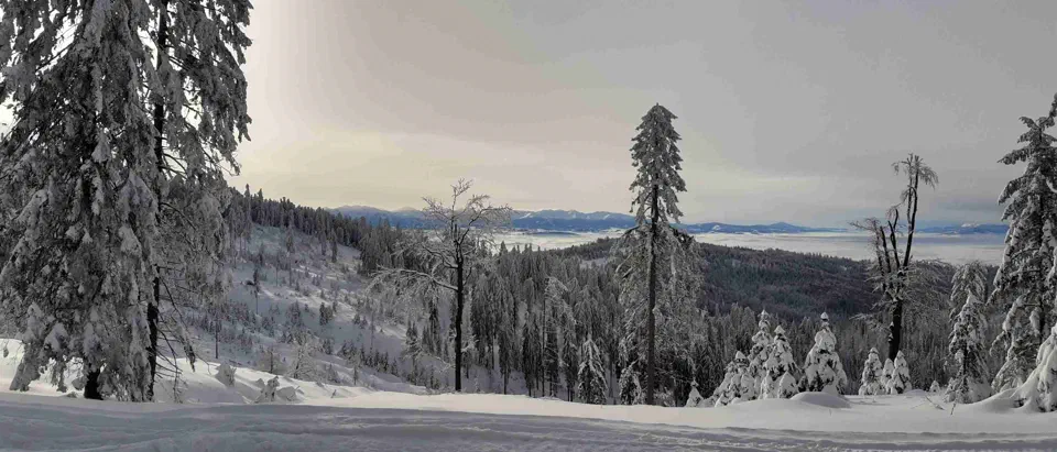 Turbacz 30.12.2019r – zdjęcie 103