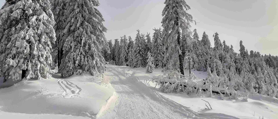 Turbacz 30.12.2019r – zdjęcie 105