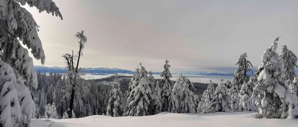 Turbacz 30.12.2019r – zdjęcie 107