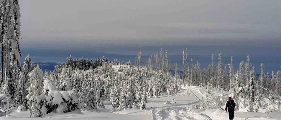 Turbacz 30.12.2019r – zdjęcie 113
