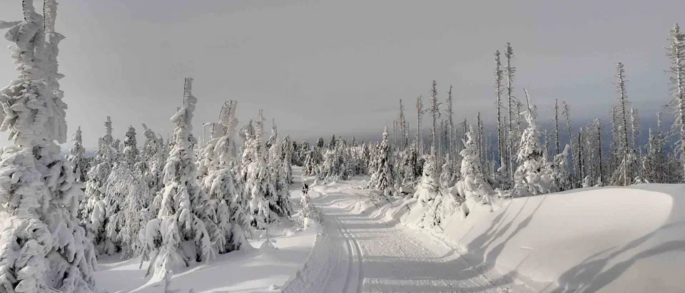 Turbacz 30.12.2019r – zdjęcie 120