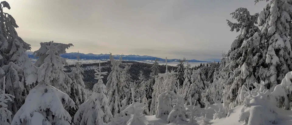 Turbacz 30.12.2019r – zdjęcie 121