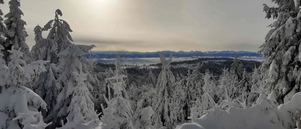 Turbacz 30.12.2019r – zdjęcie 122
