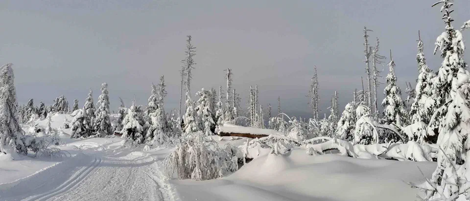 Turbacz 30.12.2019r – zdjęcie 123