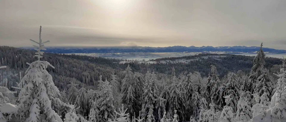 Turbacz 30.12.2019r – zdjęcie 128