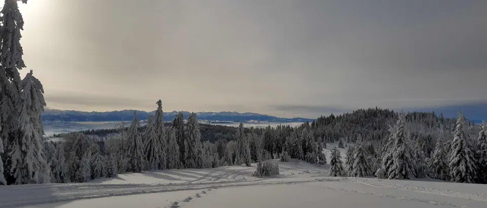 Turbacz 30.12.2019r – zdjęcie 133