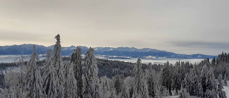 Turbacz 30.12.2019r – zdjęcie 134