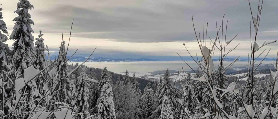 Turbacz 30.12.2019r – zdjęcie 138