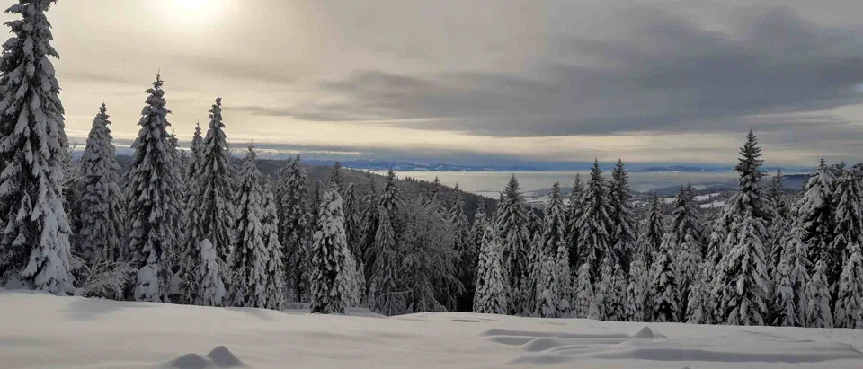 Turbacz 30.12.2019r – zdjęcie 139