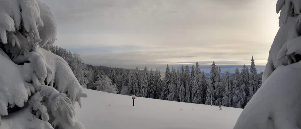 Turbacz 30.12.2019r – zdjęcie 145