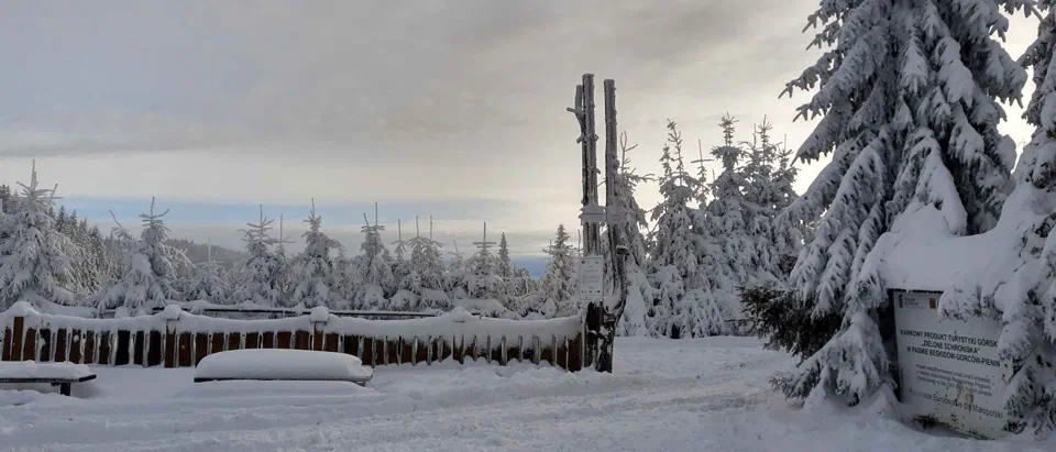 Turbacz 30.12.2019r – zdjęcie 151