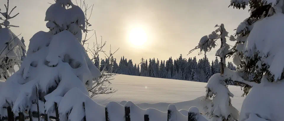Turbacz 30.12.2019r – zdjęcie 161