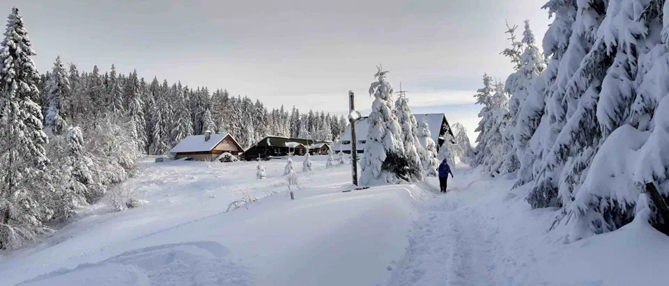 Turbacz 30.12.2019r – zdjęcie 164