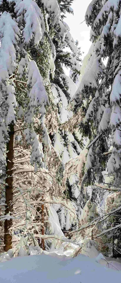 Turbacz 30.12.2019r – zdjęcie 166