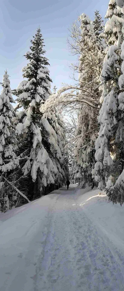Turbacz 30.12.2019r – zdjęcie 168