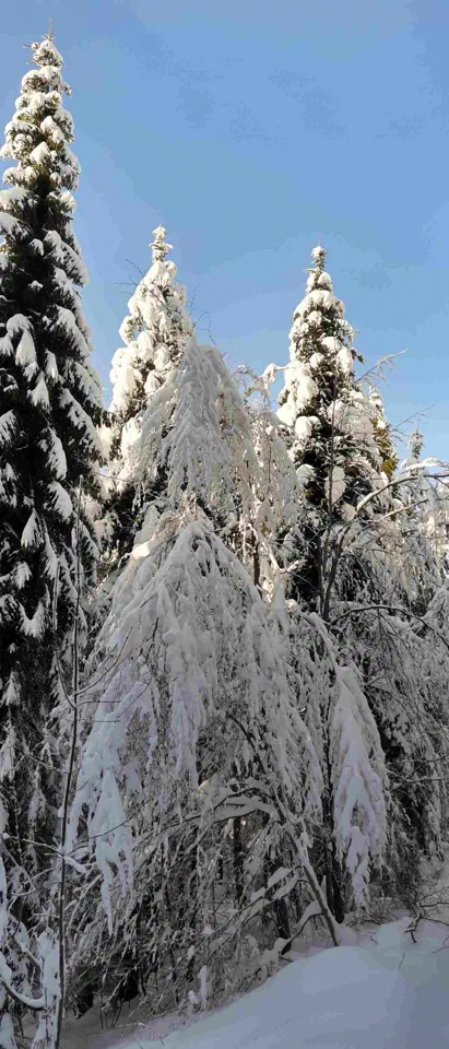 Turbacz 30.12.2019r – zdjęcie 169