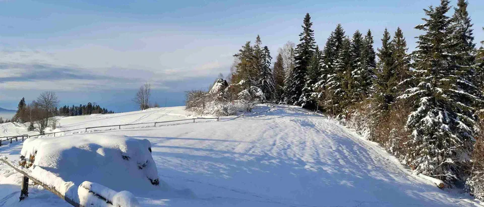 Turbacz 30.12.2019r – zdjęcie 176