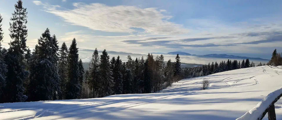 Turbacz 30.12.2019r – zdjęcie 177