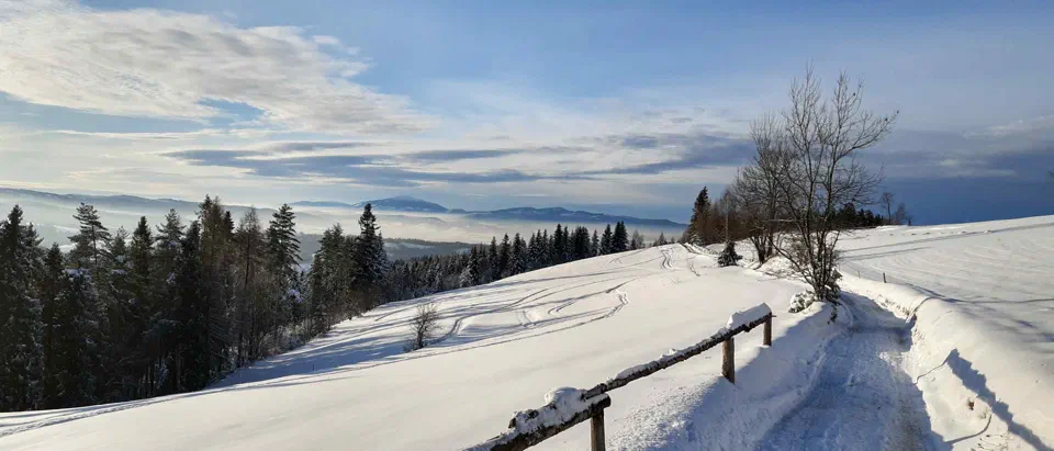 Turbacz 30.12.2019r – zdjęcie 178