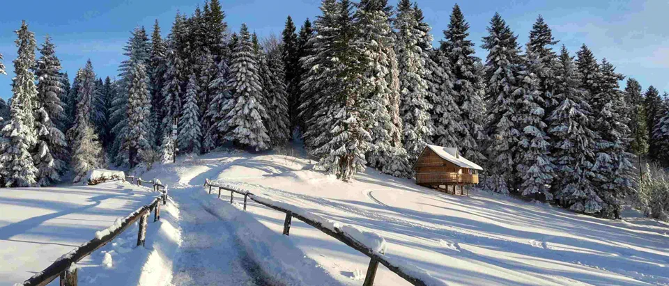 Turbacz 30.12.2019r – zdjęcie 179
