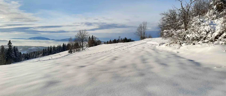Turbacz 30.12.2019r – zdjęcie 183