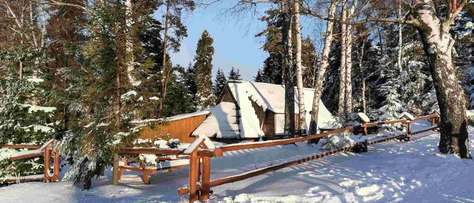 Turbacz 30.12.2019r – zdjęcie 195