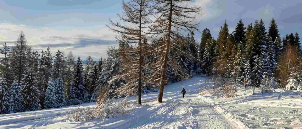 Turbacz 30.12.2019r – zdjęcie 205