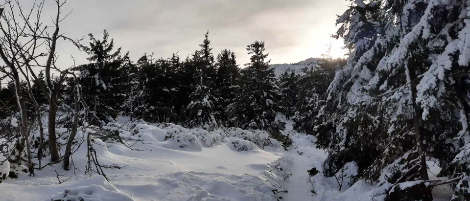 Babia Góra 02-01-2020r – zdjęcie 5