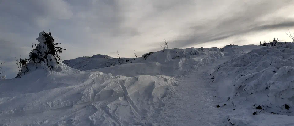 Babia Góra 02-01-2020r – zdjęcie 14