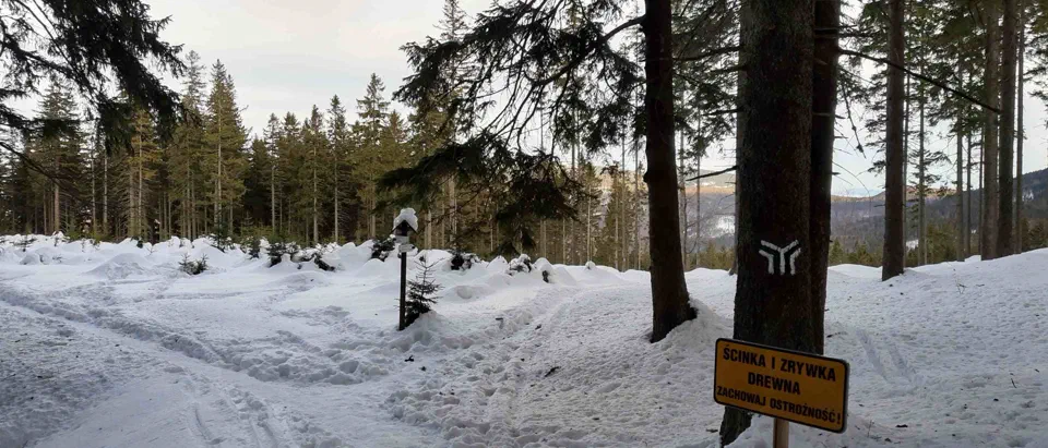 Babia Góra 02-01-2020r – zdjęcie 133