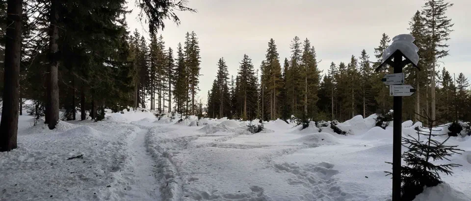 Babia Góra 02-01-2020r – zdjęcie 134